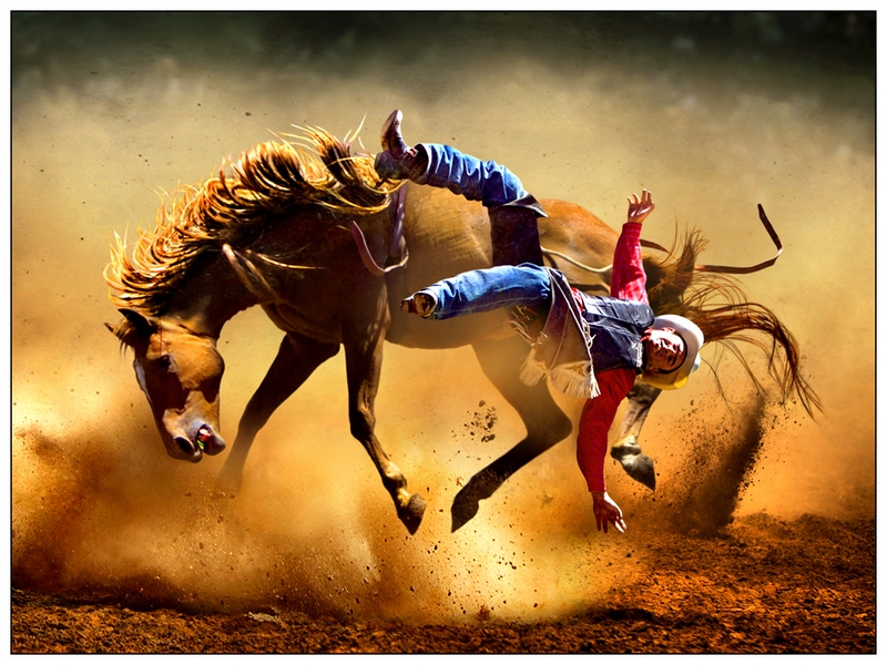 476 - CRAZY HORSE - TAM JOSEPH - australia.jpg